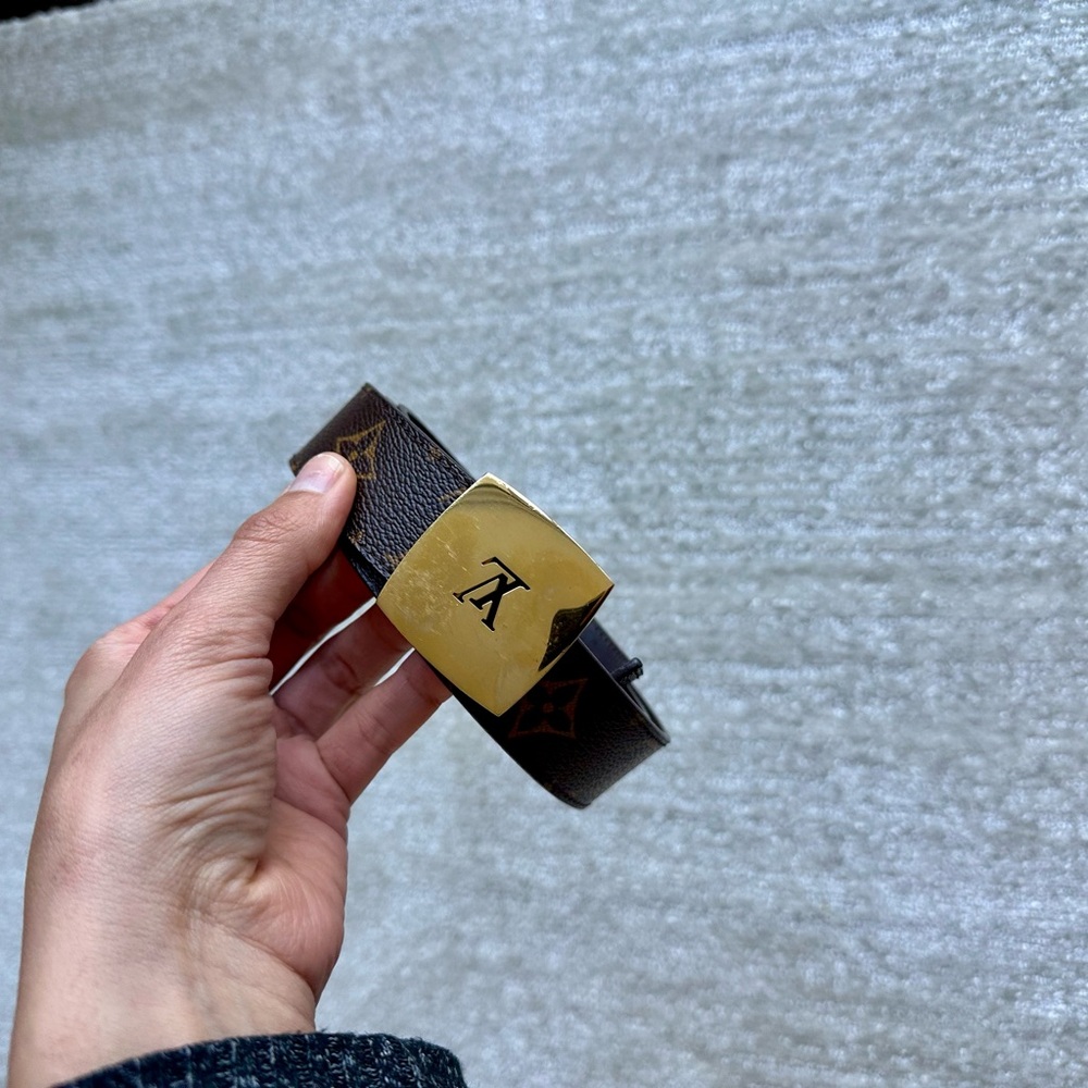 Luxury Louis Vuitton Brown and Gold Belt